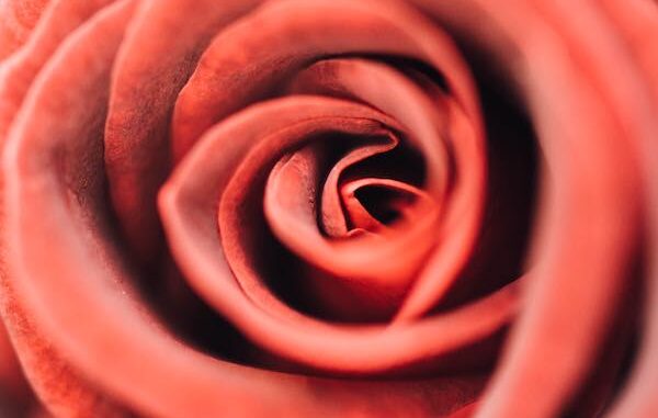 détendre ou resserrer son anus